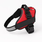 Safety Dog Harness