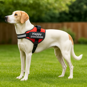 Safety Dog Harness