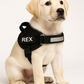 Safety Dog Harness