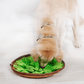 PawSmart Dog Snuffle Mat & Slow Feeder Bowl