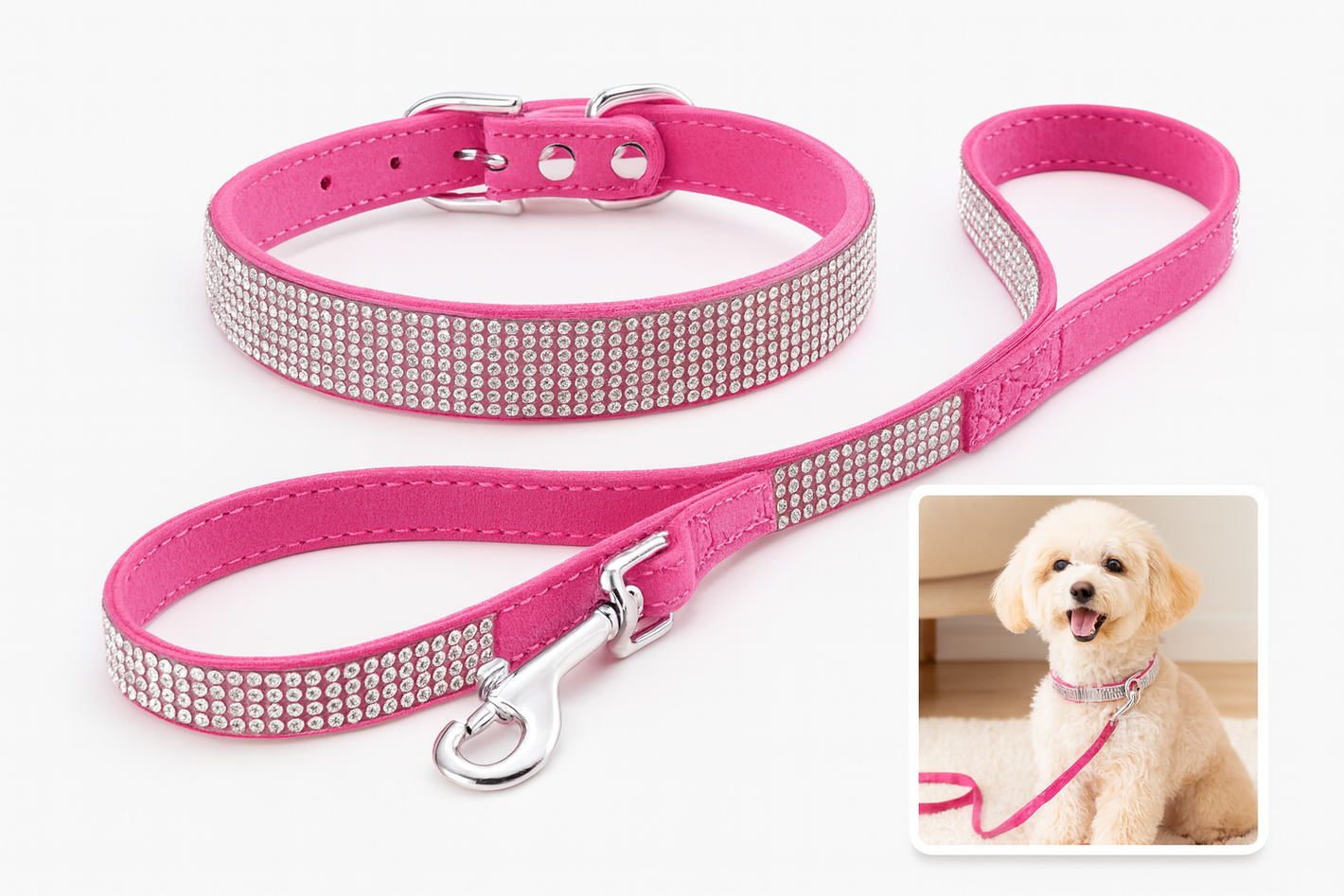 Sparkly Pet Collar Leash Set