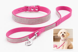 Sparkly Pet Collar Leash Set