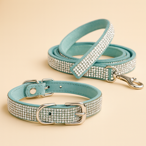 Sparkly Pet Collar Leash Set