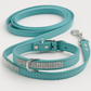 Sparkly Pet Collar Leash Set
