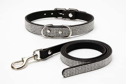 Sparkly Pet Collar Leash Set