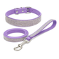 Sparkly Pet Collar Leash Set
