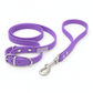 Sparkly Pet Collar Leash Set