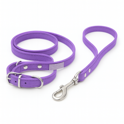 Sparkly Pet Collar Leash Set