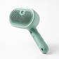 Steam Pet Brush