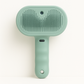 Steam Pet Brush