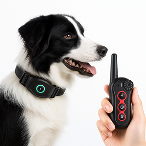 The DB400 Remote Dog Bark & Training Collar