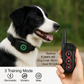 The DB400 Remote Dog Bark & Training Collar