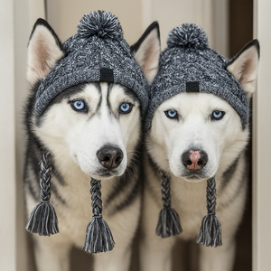 Warm Winter Pet Hat