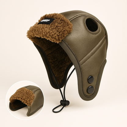 Winter Dog Hat