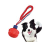 Interactive Dog Chew Ball with Rope