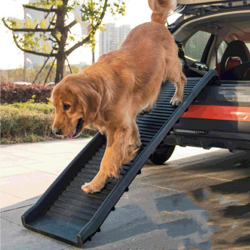 Folding Dog Stairs & Ramp
