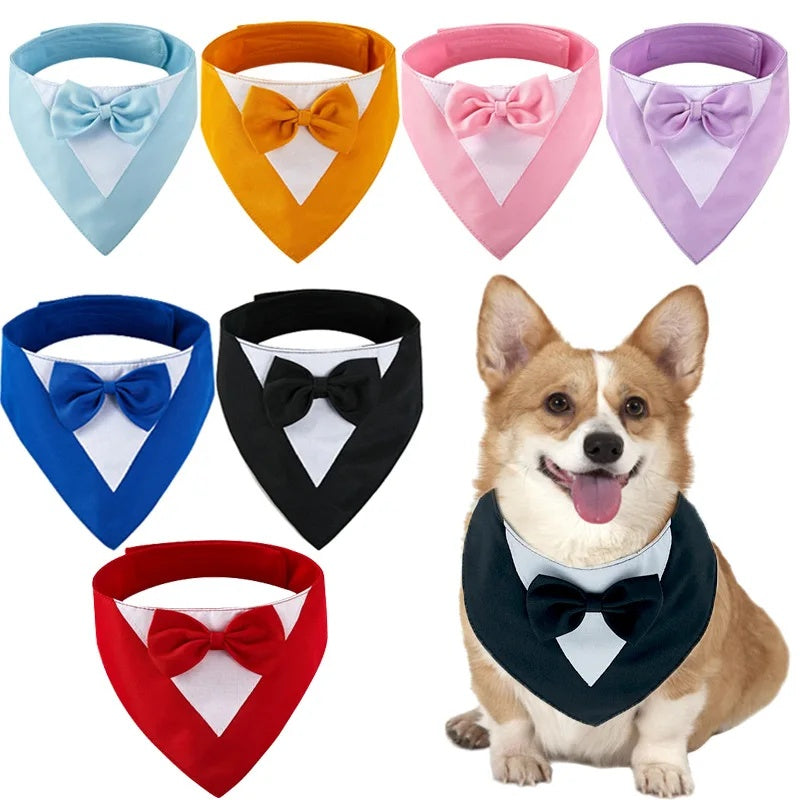 Triangle Bow Bib Pet Bandana Collar