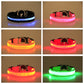 LED Glowing Dog Collar