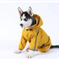 4-Leg Waterproof Dog Raincoat