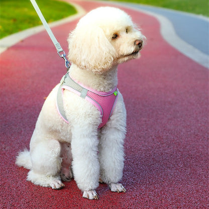 Harness & Leash Set