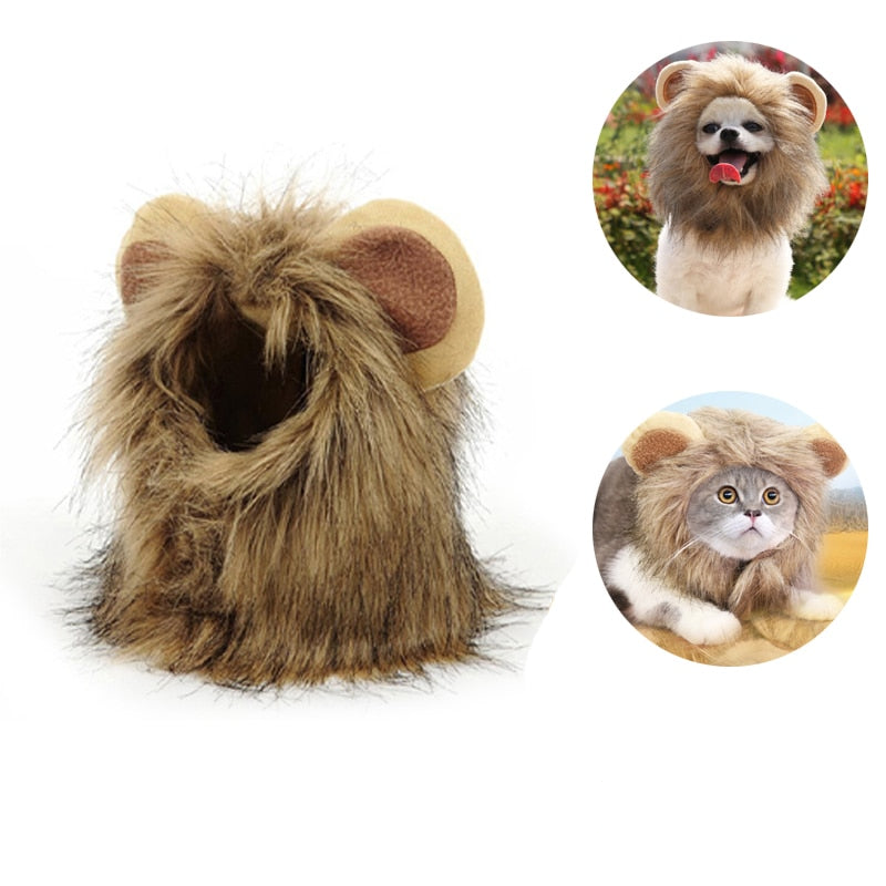 Lion Mane Cat Costume - Pawfection