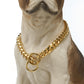 Gold Link Chain Collar