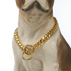 Gold Link Chain Collar