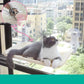 Suction Cup Cat Hammock Balcony Cat Nest