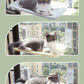Suction Cup Cat Hammock Balcony Cat Nest