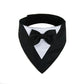 Triangle Bow Bib Pet Bandana Collar