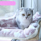 Cat Hanging Bed Shelf