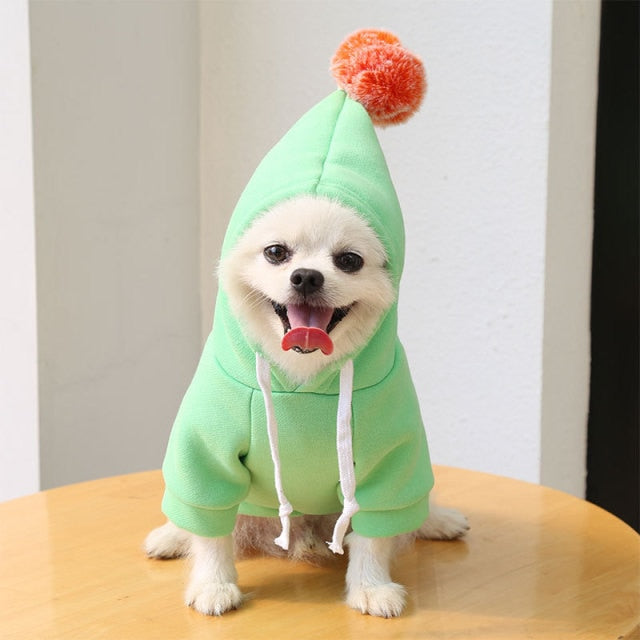 Fruit Pet Coat Hoodies - Pawfection