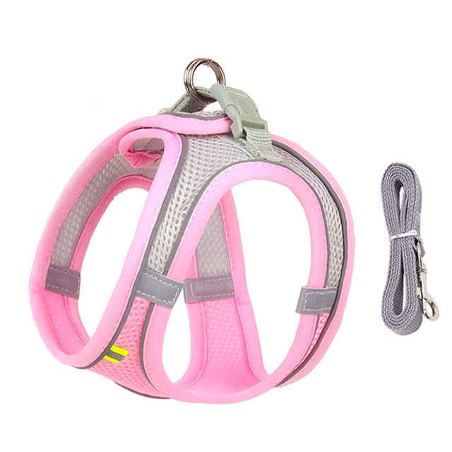 Harness & Leash Set for Small Dogs - Pawfection