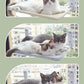 Suction Cup Cat Hammock Balcony Cat Nest