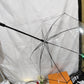 Pet Transparent Umbrella