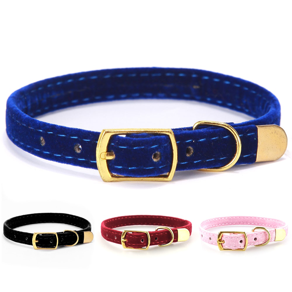 PU Leather Small Cat & Dog Collar