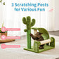Cactus Cat Scratching Post & Activity Tree
