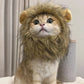 Colorful Cat Lion Manes