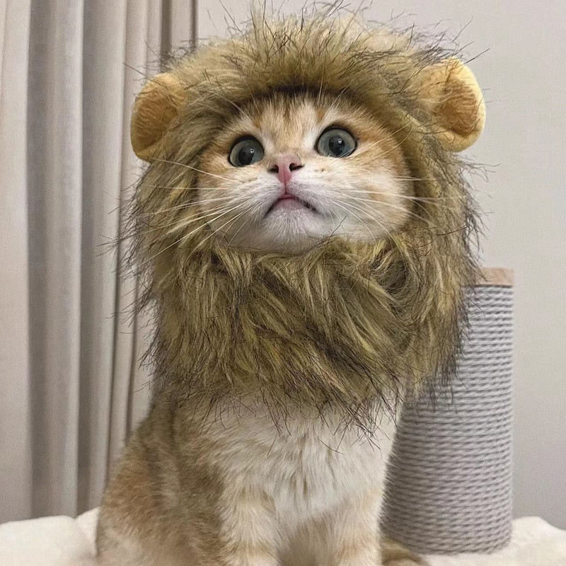Colorful Cat Lion Manes