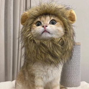 Colorful Cat Lion Manes