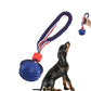 Interactive Dog Chew Ball with Rope