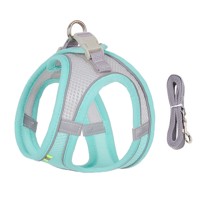 Harness & Leash Set for Small Dogs - Pawfection