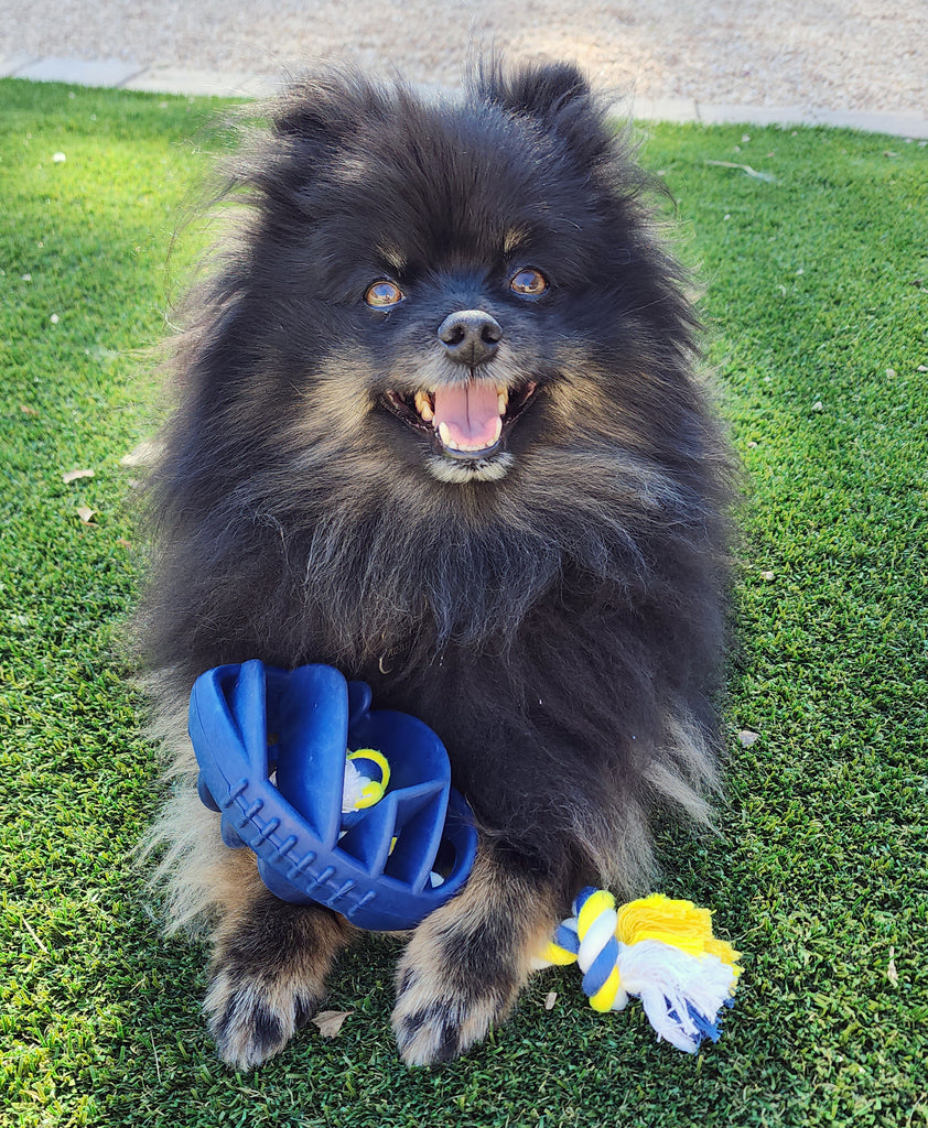 Rubber Football Rope Chew Toy - Pawfection