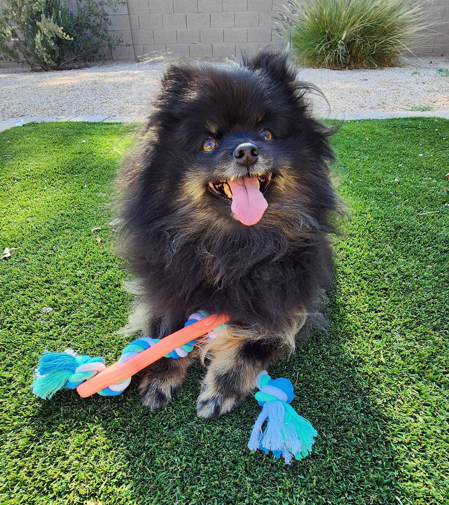 Rubber Bone Rope Dog Chew Toy - Pawfection