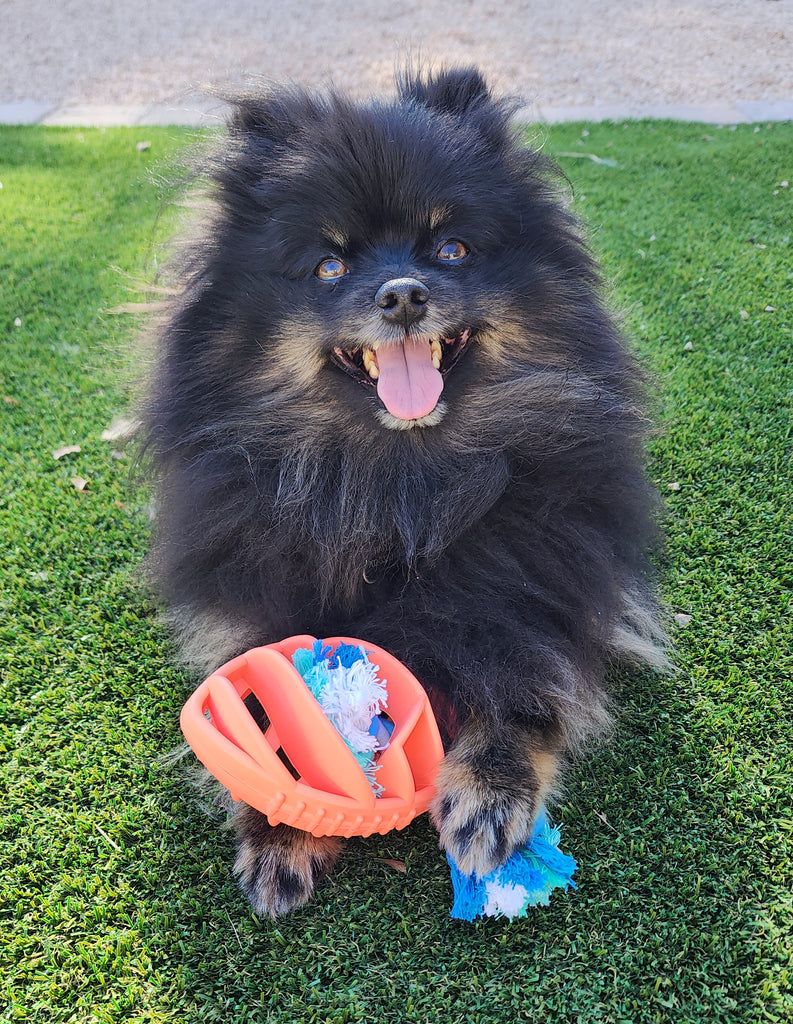 Rubber Football Rope Chew Toy - Pawfection