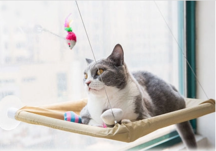 Cat Window Bed - Pawfection