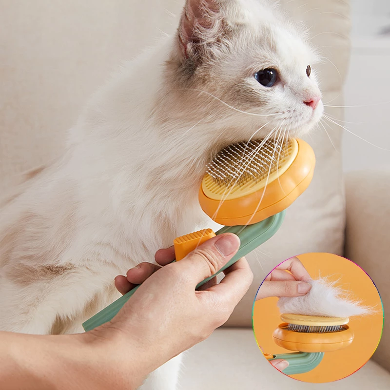 Cats Clean Brush - Pawfection