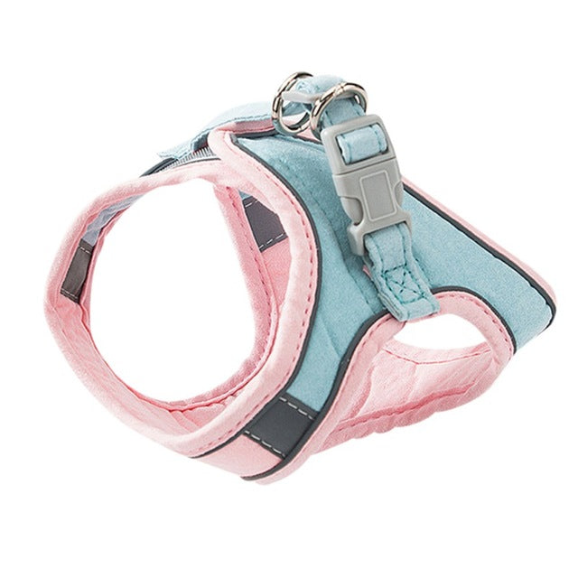 Adjustable Reflective Cat Harness With Leash Set - Bundle - Pawfection