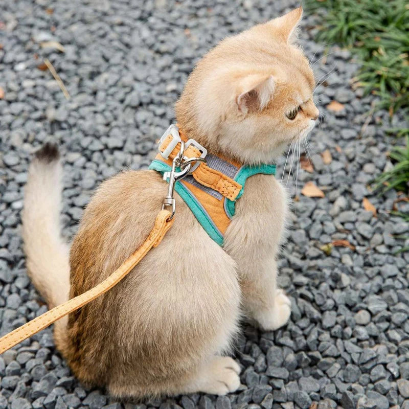 Adjustable Reflective Cat Harness With Leash Set - Bundle - Pawfection