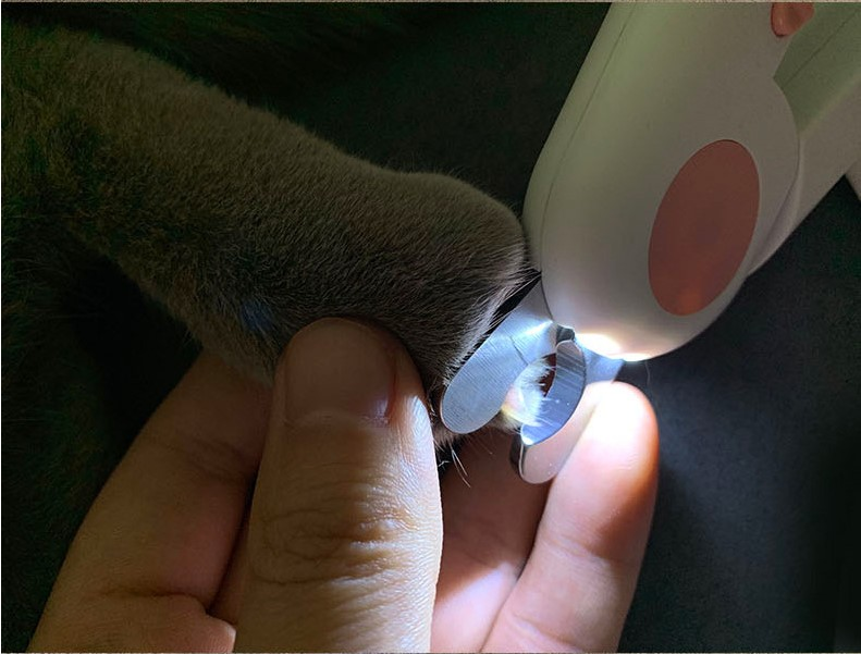 Pet Nail Scissors LED - Pawfection